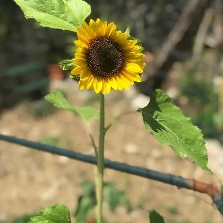 La Riviera Bed & Breakfast Отель типа 