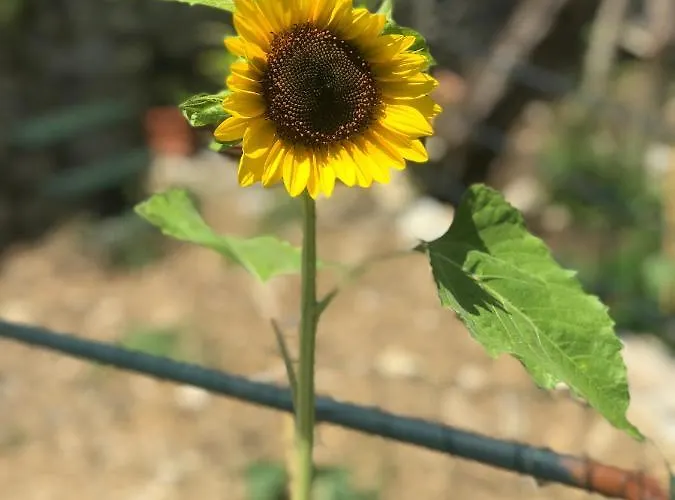 La Riviera Bed & Breakfast 住宿加早餐酒店