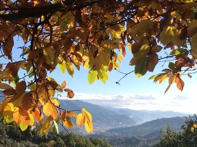 La Riviera Bed & Breakfast