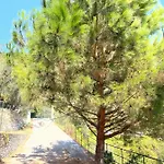 La Riviera Bed & Breakfast 3* راباللو