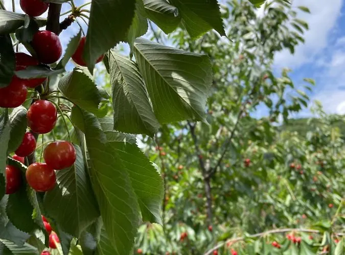 Panzió La Riviera Bed & Breakfast 3*