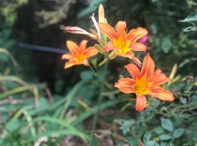 Panzió La Riviera Bed & Breakfast 3*