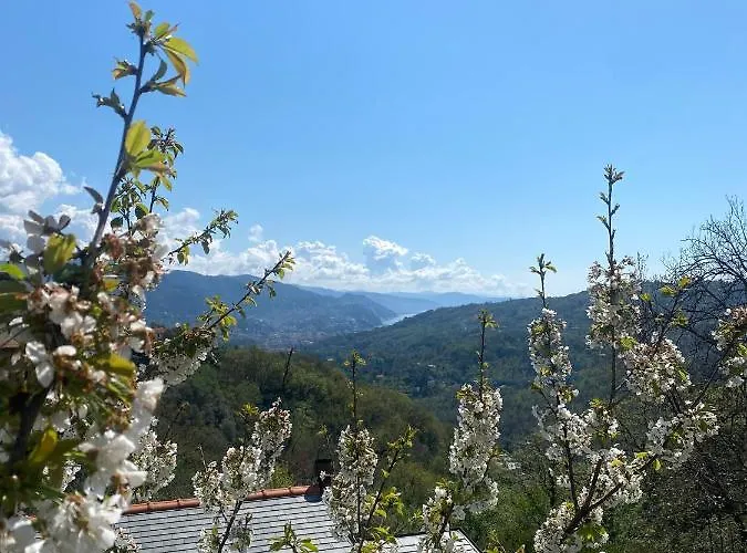 Panzió La Riviera Bed & Breakfast 3*